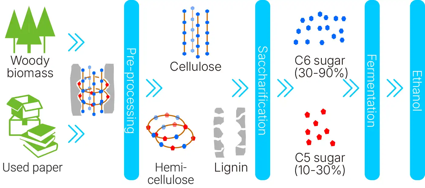 Cellulosic ethanol production to create a carbon-neutral society
