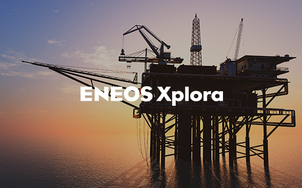 Oil & Natural Gas E&P Business