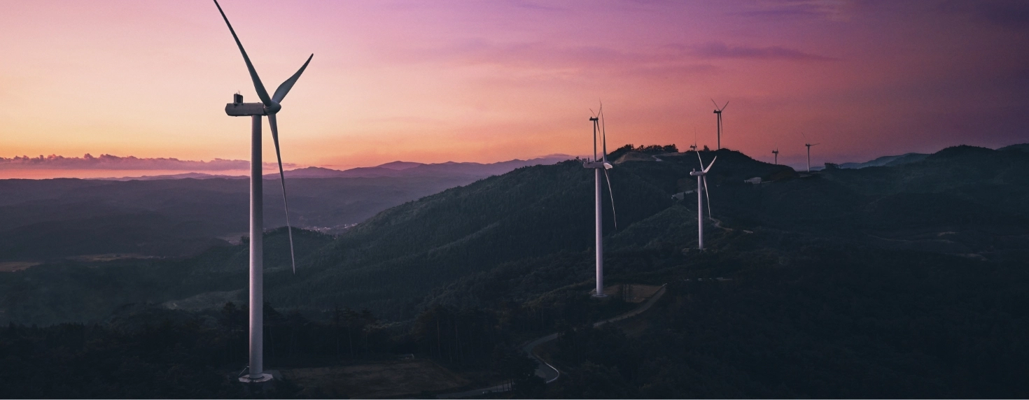 Sustainability