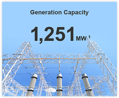 Generation Capacity 1,251 MW 1